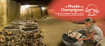 Musée du Champignon photo