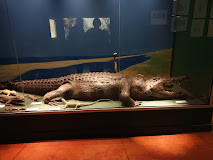 Muséum d'histoire naturelle photo