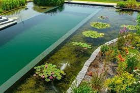 natura piscines photo