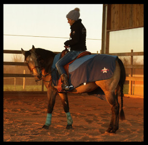 Normandy West Horse photo