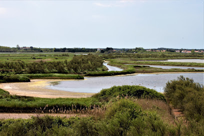 Observatoire d'oiseaux de L'Ile d'Olonne photo