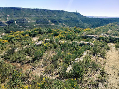 Oppidum du castellas photo