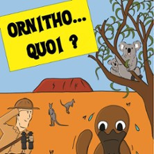 Ornitho...Quoi ? photo