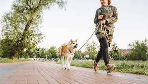 "Où promener son animal de compagnie dans le Calvados ? " photo