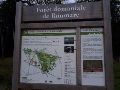 Parc Animalier de la Forêt de Roumare                photo