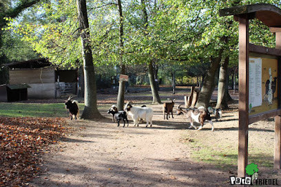 Parc animalier Friedel photo