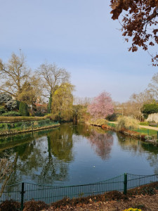 Parc Charles Boucher photo