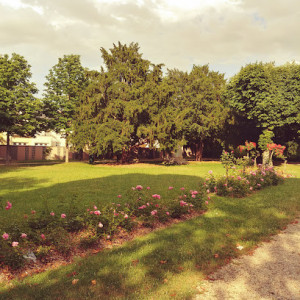 Parc Commemoratif de Boissy-Saint-Léger photo