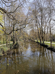 Parc de la Martinière photo