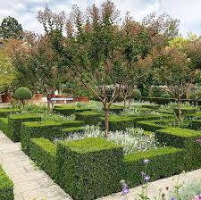 Parc de l'arboretum photo