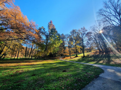 Parc de l'Aurence photo