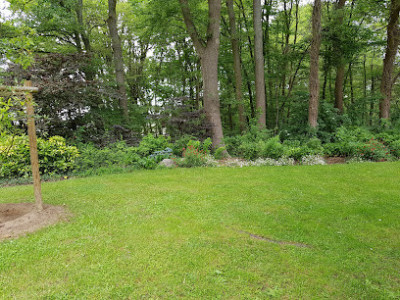 Parc de l'Hermitage photo