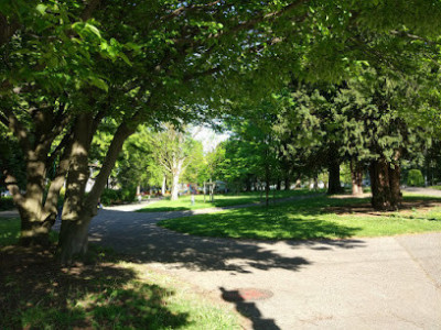 Parc de L'ile Verte photo