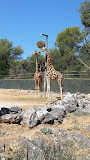 Parc de Lunaret - Zoo de Montpellier photo