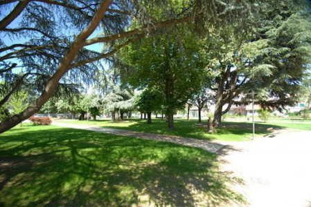 Parc de Montessuit photo