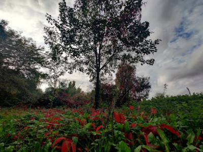 Parc de Montjean photo