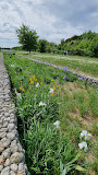 Parc départemental des Lilas photo