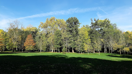 Parc des Célestins photo