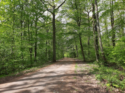 Parc du Bois de l'Étang photo