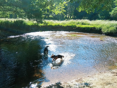 Parc du Mas Jambost photo