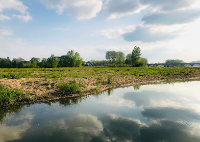 Parc du Quai de Médine photo