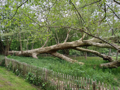 Parc Frédéric Passy photo