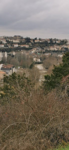 Parc Mozart photo