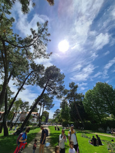 Parc Rosny photo