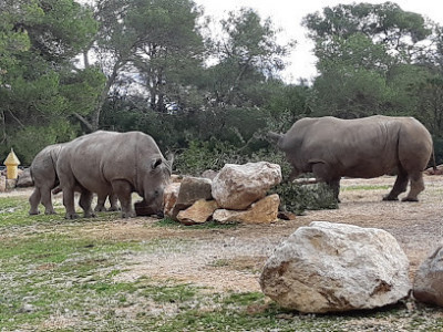 Parc Zoologique de Montpellier photo