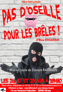 PAS D’OSEILLE POUR LES BRÊLES ! d’Elno DOUARAN photo