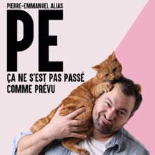 PE - Ca ne s'est pas passé comme prévu (Tournée) photo