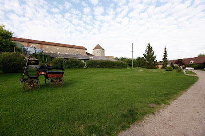 Pension de Chevaux Domaine de Courtieux photo