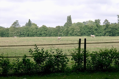 Picnic Area - Plaine Saint Antoine photo