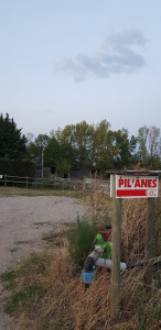 PIL'ÂNES photo