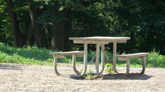 Pique-niquer à l'Aire des Landes de Lanvaux photo