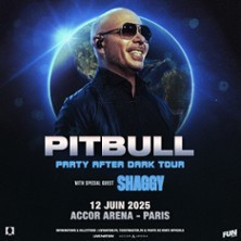 Pitbull - Party After Dark photo