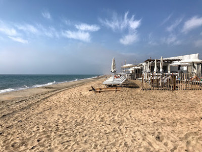 Plage Baleine photo