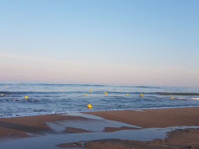 Plage COTE SUD photo