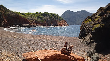 Plage de Gradi photo