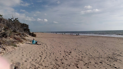 Plage de la Palmyre photo