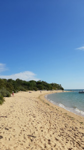 Plage de la Patache photo