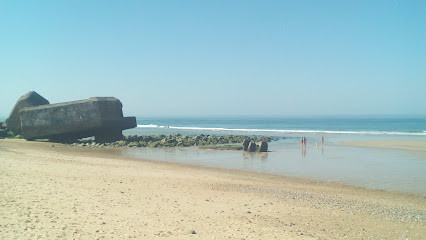 Plage de la Piste photo