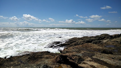 Plage de la Sauzaie photo