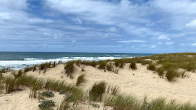 Plage de l'Horizon photo