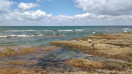 Plage de Port Kennet photo