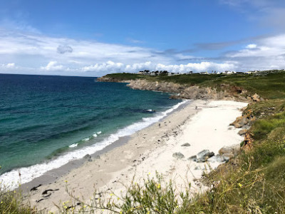 Plage de Porz Liogan photo