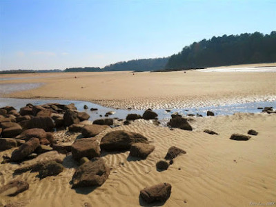 Plage de Saint-Maurice photo