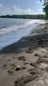 plage de Viard photo