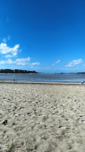 Plage des Briantais photo