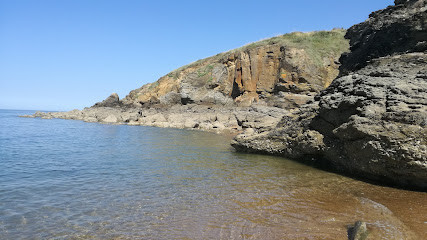 Plage des Choizeau photo